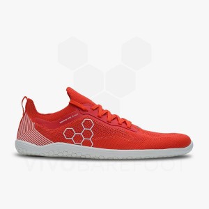 Vivobarefoot Primus Lite Knit Miesten Lenkkitossut Punainen | FI340KW