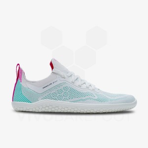 Vivobarefoot Primus Lite Knit Miesten Lenkkitossut Sininen | FI342IR