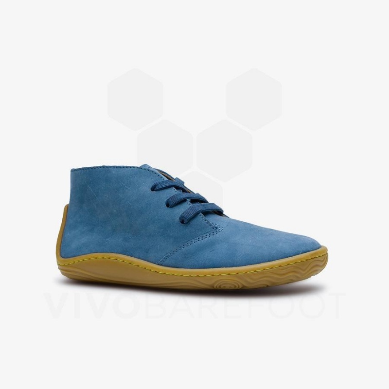 Vivobarefoot Gobi Addis Juniors Lasten Kengät Indigo | FI009DO