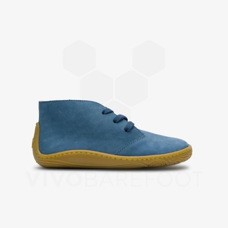 Vivobarefoot Gobi Addis Juniors Lasten Kengät Indigo | FI009DO