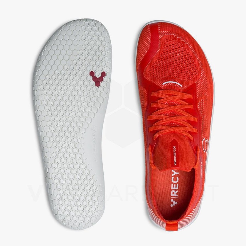 Vivobarefoot Primus Lite Knit Miesten Maantiekengät Punainen | FI384SZ