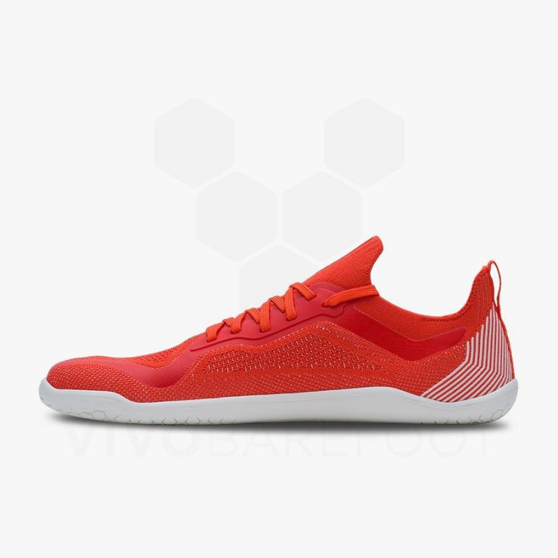 Vivobarefoot Primus Lite Knit Miesten Maantiekengät Punainen | FI384SZ