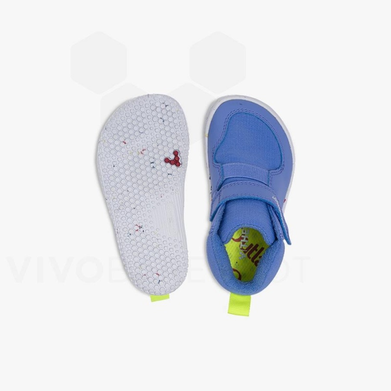 Vivobarefoot Primus Ludo Hi Taapero Lasten Kengät Sininen | FI033FU