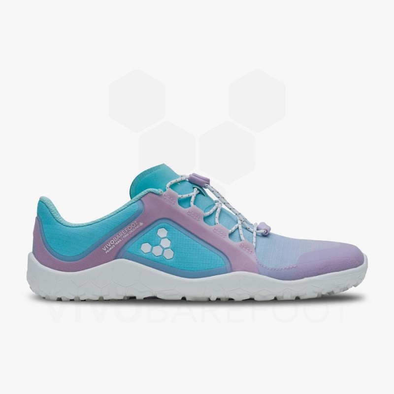 Vivobarefoot Primus Trail III All Weather FG Naisten Maastojuoksukengät Violetit | FI206OB